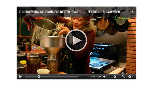 Holistic Dental Masterclass