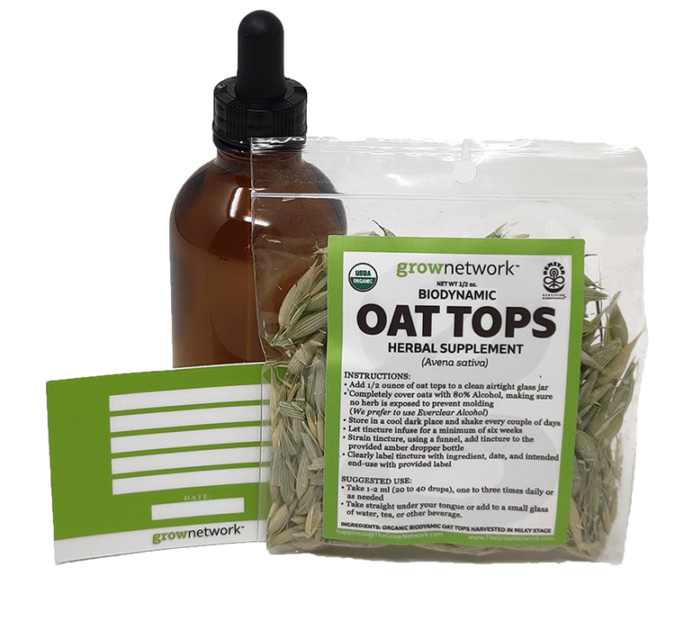 Holistic Dental Masterclass