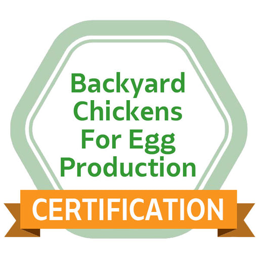 Backyard Chickens for Egg Production eCourse