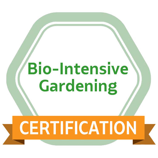 Bio-Intensive Gardening eCourse