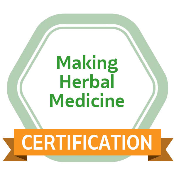 Making Herbal Medicine eCourse