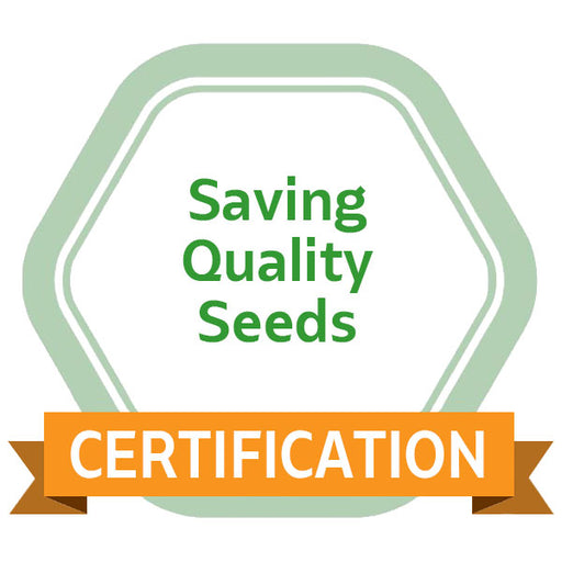 Saving Quality Seeds eCourse