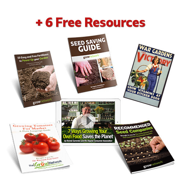 Tomatoes: From Seeds To Sauce Toolkit