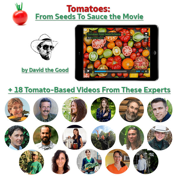 Tomatoes: From Seeds To Sauce Toolkit
