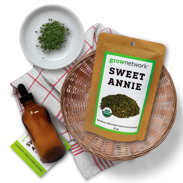 Sweet Annie DIY Tincture Kit
