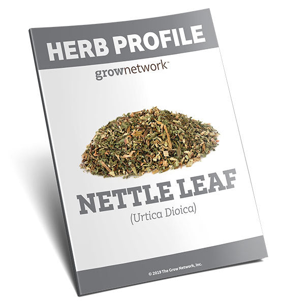 Nettle Leaf (Urtica Dioica)