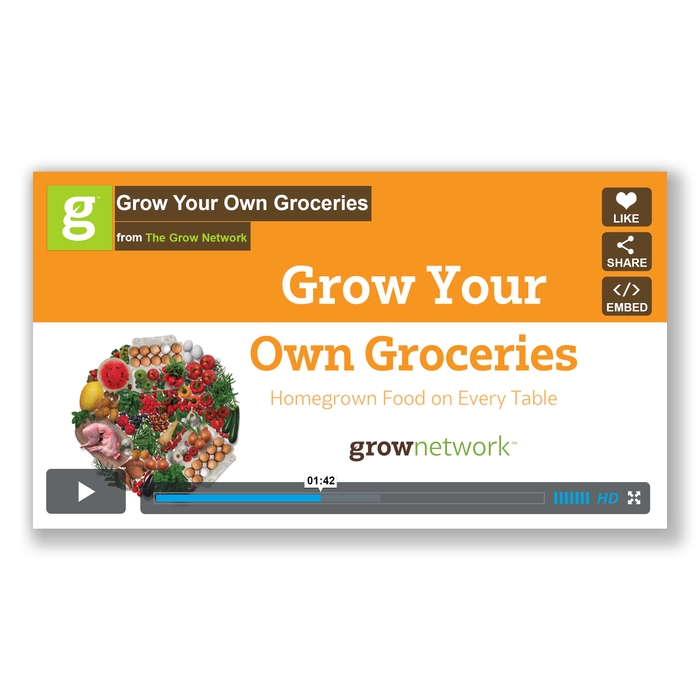 Grow Your Own Groceries