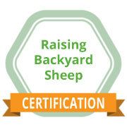 Raising Backyard Sheep eCourse