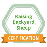 Raising Backyard Sheep eCourse