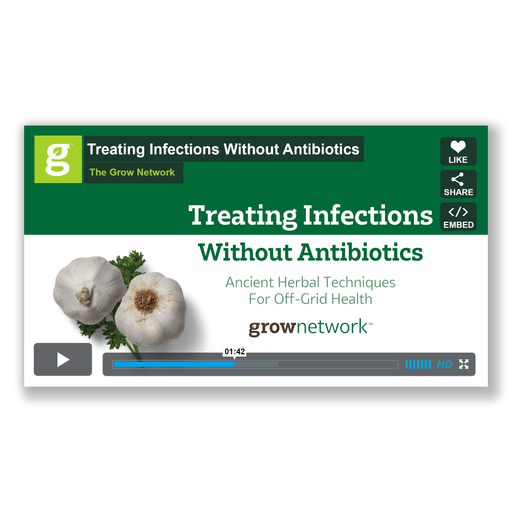 Treating Infections Without Antibiotics