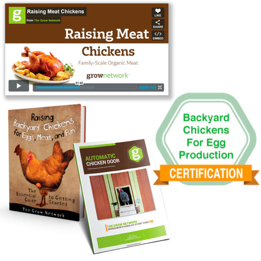 Backyard Chickens 101