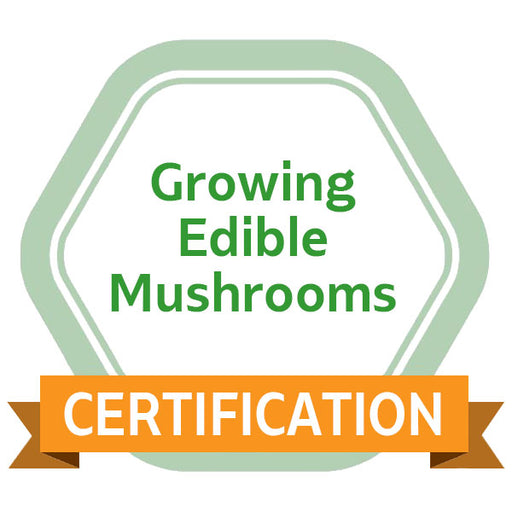 Growing Edible Mushrooms eCourse