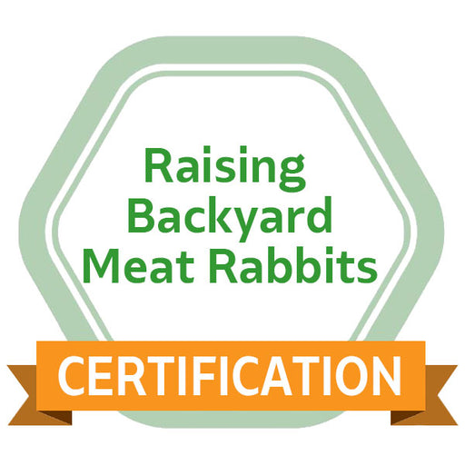 Raising Backyard Meat Rabbits eCourse