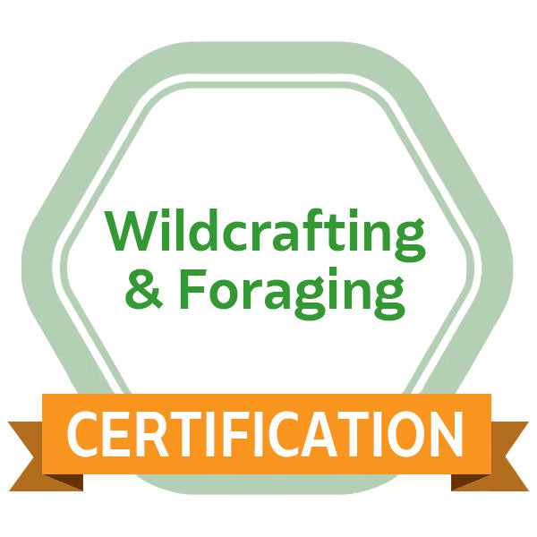 Wildcrafting & Foraging eCourse